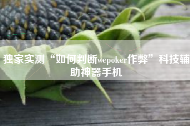 独家实测“如何判断wepoker作弊”科技辅助神器手机