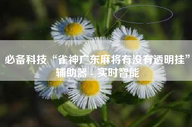 必备科技“雀神广东麻将有没有透明挂”辅助器 - 实时智能
