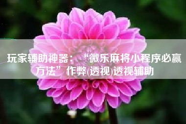 玩家辅助神器：“微乐麻将小程序必赢方法”作弊(透视)透视辅助