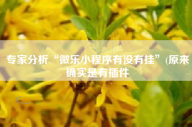专家分析“微乐小程序有没有挂”(原来确实是有插件