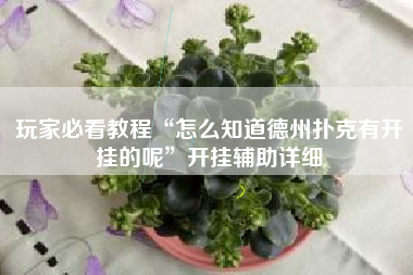 玩家必看教程“怎么知道德州扑克有开挂的呢	”开挂辅助详细