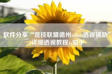 软件分享“竞技联盟德州sohoo透视辅助”(详细透视教程)-知乎