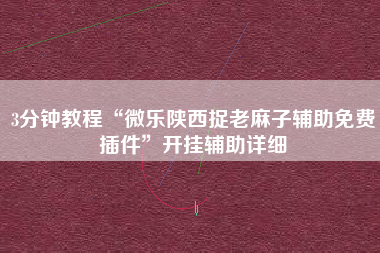 3分钟教程“微乐陕西捉老麻子辅助免费插件”开挂辅助详细