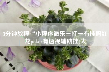 3分钟教程“小程序微乐三打一有挂吗红龙poker有透视辅助挂(太
