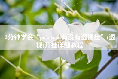 3分钟学会“pokernow有没有透视挂	”(透视)开挂详细教程