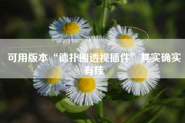 可用版本“德扑圈透视插件”其实确实有挂