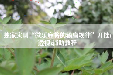 独家实测“微乐麻将的输赢规律”开挂(透视)辅助教程