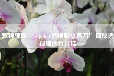 教程辅助“wepoker透视脚本官方	”揭秘透视辅助万能挂