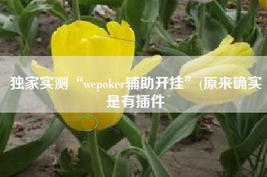 独家实测“wepoker辅助开挂”(原来确实是有插件
