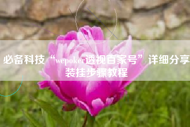 必备科技“wepoker透视百家号”详细分享装挂步骤教程