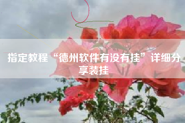 指定教程“德州软件有没有挂”详细分享装挂