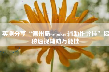 实测分享“德州局wepoker辅助作弊挂	”揭秘透视辅助万能挂