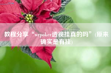 教程分享“wrpoker透视挂真的吗”(原来确实是有挂)