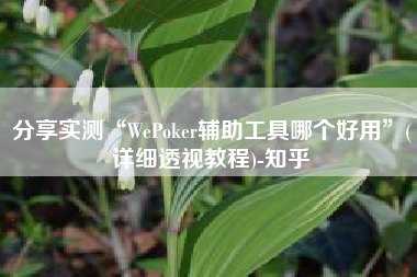 分享实测“WePoker辅助工具哪个好用”(详细透视教程)-知乎