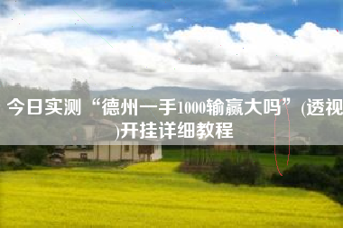 今日实测“德州一手1000输赢大吗”(透视)开挂详细教程