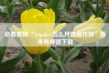 必看教程“AApoker怎么开透视作弊”原来有神器下载