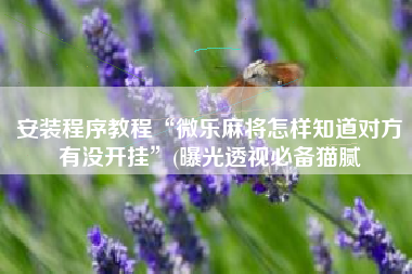 安装程序教程“微乐麻将怎样知道对方有没开挂”(曝光透视必备猫腻