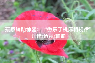 玩家辅助神器：“微乐手机麻将规律”开挂(透视)辅助