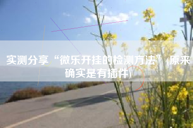 实测分享“微乐开挂的检测方法”(原来确实是有插件)