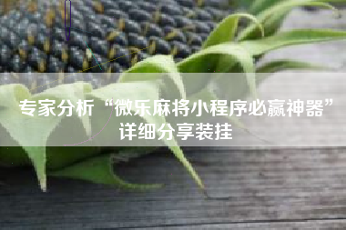 专家分析“微乐麻将小程序必赢神器”详细分享装挂