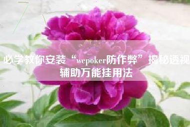 必学教你安装“wepoker防作弊	”揭秘透视辅助万能挂用法