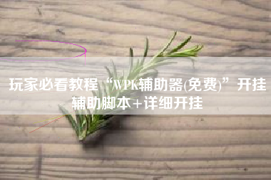 玩家必看教程“WPK辅助器(免费)	”开挂辅助脚本+详细开挂