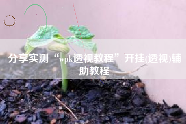 分享实测“wpk透视教程”开挂(透视)辅助教程
