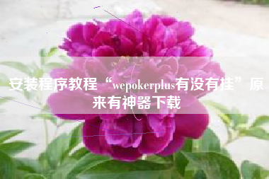 安装程序教程“wepokerplus有没有挂”原来有神器下载