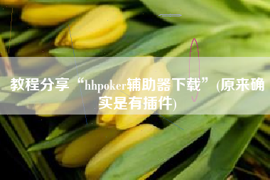 教程分享“hhpoker辅助器下载”(原来确实是有插件)