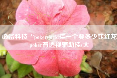 必备科技“pokerworld挂一个要多少钱红龙poker有透视辅助挂(太