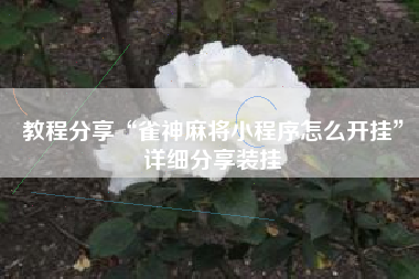 教程分享“雀神麻将小程序怎么开挂”详细分享装挂