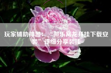 玩家辅助神器：“微乐窝龙开挂下载安装”详细分享装挂