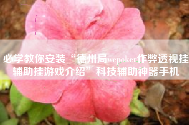 必学教你安装“德州局wepoker作弊透视挂辅助挂游戏介绍	”科技辅助神器手机