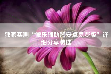 独家实测“微乐辅助器安卓免费版	”详细分享装挂