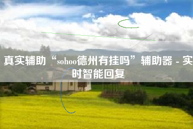 真实辅助“sohoo德州有挂吗”辅助器 - 实时智能回复