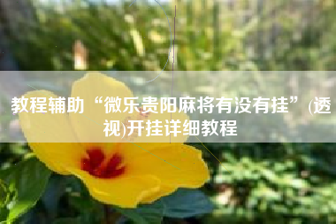 教程辅助“微乐贵阳麻将有没有挂”(透视)开挂详细教程