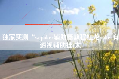独家实测“wepoker辅助器教程红龙poker有透视辅助挂(太