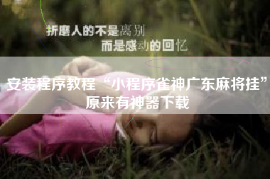 安装程序教程“小程序雀神广东麻将挂	”原来有神器下载