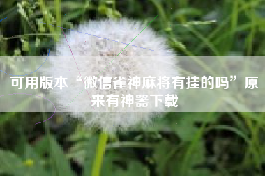 可用版本“微信雀神麻将有挂的吗”原来有神器下载