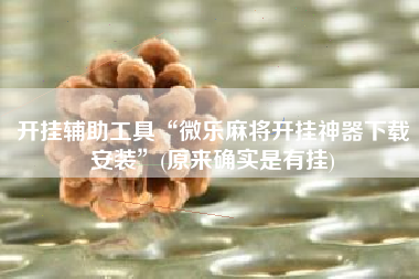 开挂辅助工具“微乐麻将开挂神器下载安装”(原来确实是有挂)