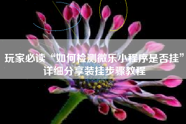 玩家必读“如何检测微乐小程序是否挂”详细分享装挂步骤教程
