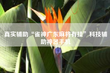 真实辅助“雀神广东麻将有挂”科技辅助神器手机
