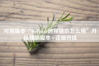 可用版本“WePoker透视辅助怎么用”开挂辅助脚本+详细开挂