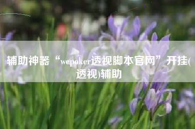 辅助神器“wepoker透视脚本官网”开挂(透视)辅助