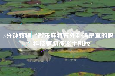 3分钟教程“微乐麻将有外卦吗是真的吗	”科技辅助神器手机版