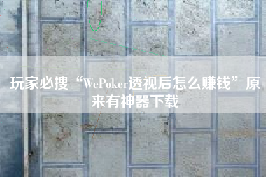 玩家必搜“WePoker透视后怎么赚钱	”原来有神器下载