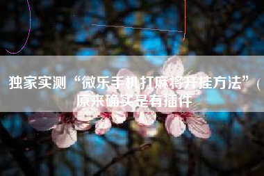 独家实测“微乐手机打麻将开挂方法”(原来确实是有插件