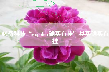 必备科技“wepoker确实有挂”其实确实有挂