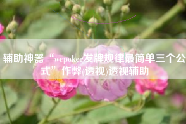 辅助神器“wepoker发牌规律最简单三个公式”作弊(透视)透视辅助