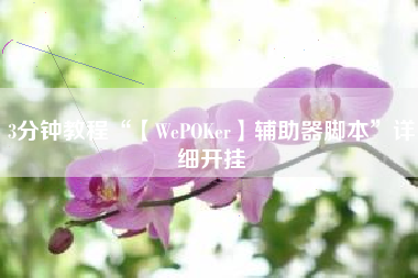 3分钟教程“【WePOKer】辅助器脚本”详细开挂